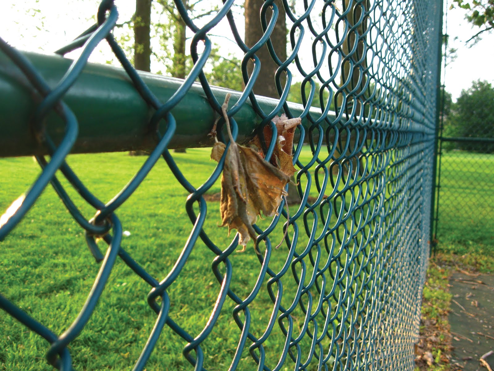 Chain-Link-Fence2