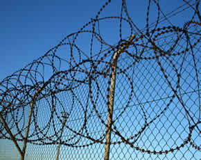  Razor Barbed Wire Mesh Fence for Protection and Defense