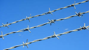 Don’t Piss Barbed Wire Off---It Is Dangerous