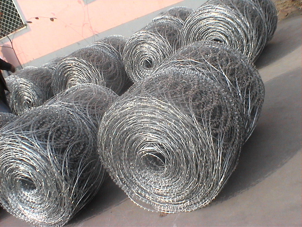 Flat Wrap Coil Type Barbed Wire