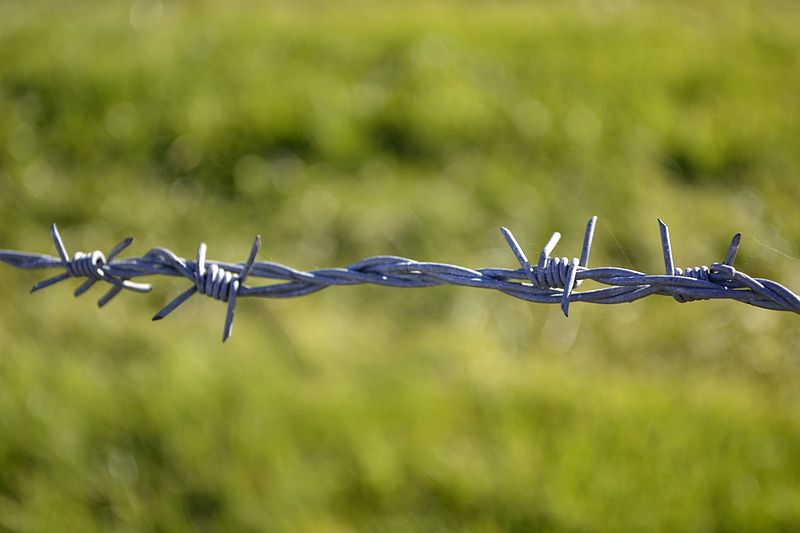  Barbed Wire is The First Wire Technology