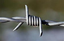 Barbed Wire Is the Realistic “Handssors”
