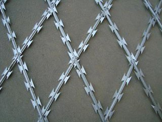 Welded Razor Wire Mesh Gives A Premium Protection.3