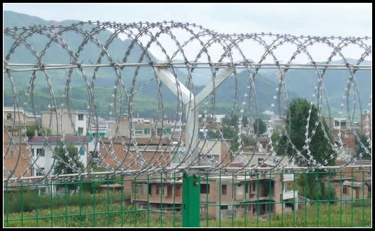 Zhengyang Concertina Razor Wire-The Soldier of Your Homeland 