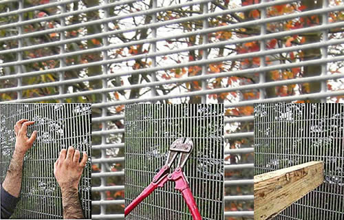 Introduction of 358 Anti-climb Fence