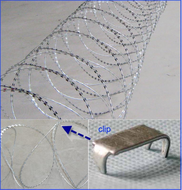 Concertina Razor Wire “Stand Arm in Arm” with Clips