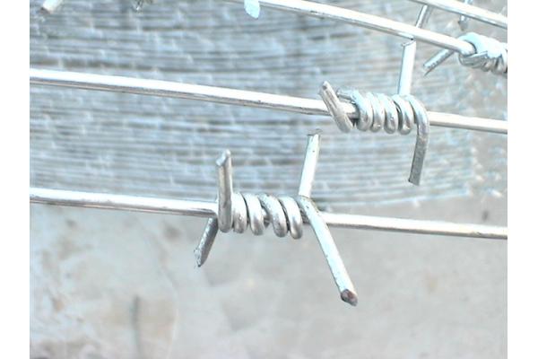 The Best Factory Supply Razor Blade Barbed Wire