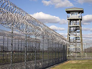Prison Security Fence2